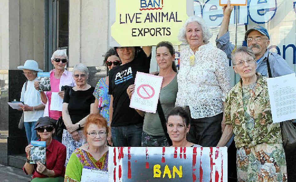 CALLING FOR BAN: Protestors outside Page MP Janelle Saffin’s office, supporting her call for a ban to live meat exports. CALLING FOR BAN: Protestors outside Page MP Janelle Saffin’s office, supporting her call for a ban to live meat exports.