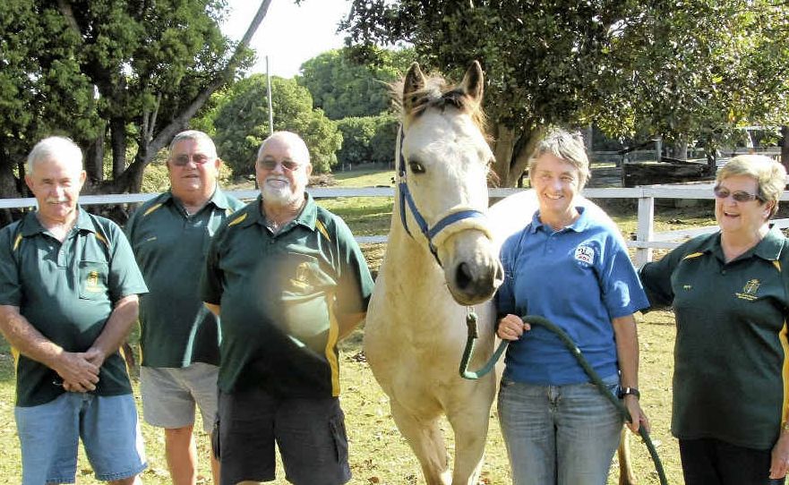 NEW ADDITION: Members of the Korea South East Asia Vietnam Veterans Association have donated funds to help the Ballina and District Riding for the Disabled to buy this new horse, Elvis. Pictured is Don Oakley, Kevin Staib, Norm Mulholland (president), RDA secretary and coach Peta Best and Bev Young. NEW ADDITION: Members of the Korea South East Asia Vietnam Veterans Association have donated funds to help the Ballina and District Riding for the Disabled to buy this new horse, Elvis. Pictured is Don Oakley, Kevin Staib, Norm Mulholland (president), RDA secretary and coach Peta Best and Bev Young.