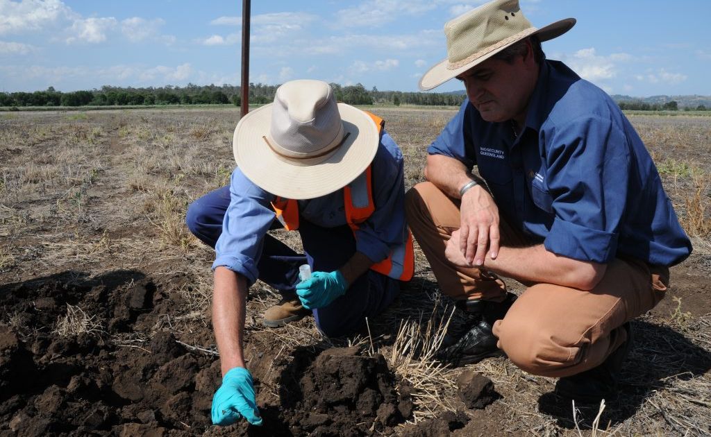 Director of Biosecurity Queensland Control Centre Neil O'Brien keeps a close eye on sample collection from the Forest Hill fire ant infestation. Director of Biosecurity Queensland Control Centre Neil O'Brien keeps a close eye on sample collection from the Forest Hill fire ant infestation.