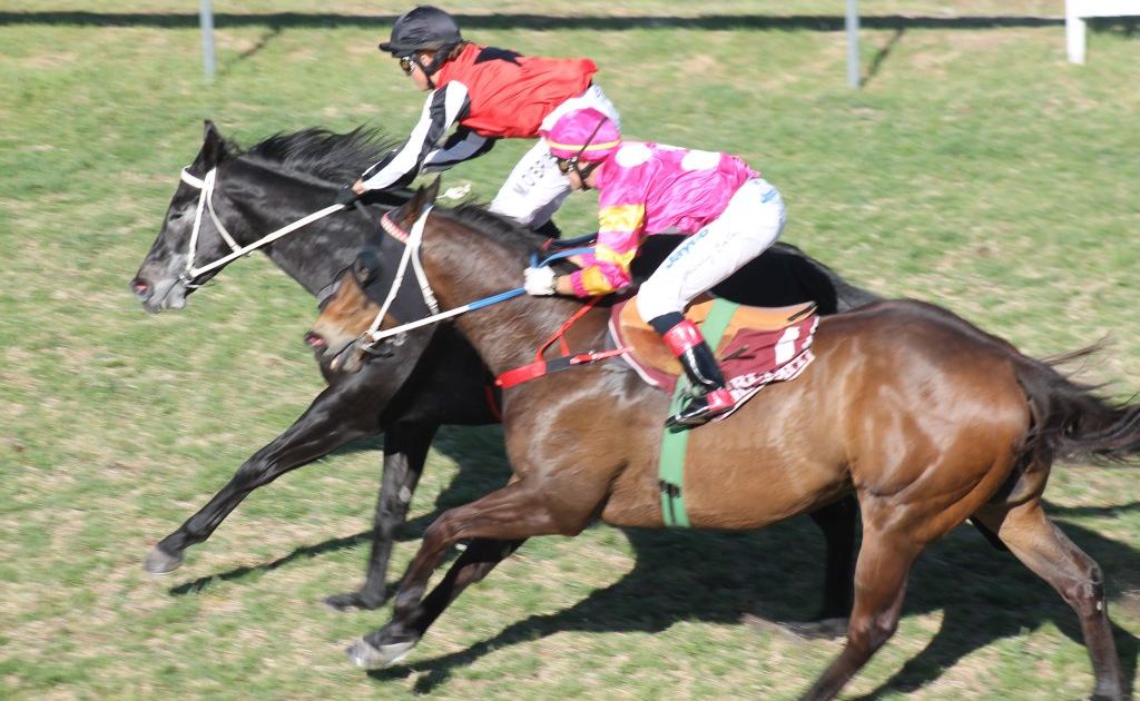 PAST THE POST: Melody O'Brien strectches out onboard Savage to take the Central Motors Holden Stanthorpe Cup. Photo Daniel Elliott / Stanthorpe Border Post PAST THE POST: Melody O'Brien strectches out onboard Savage to take the Central Motors Holden Stanthorpe Cup. Photo Daniel Elliott / Stanthorpe Border Post