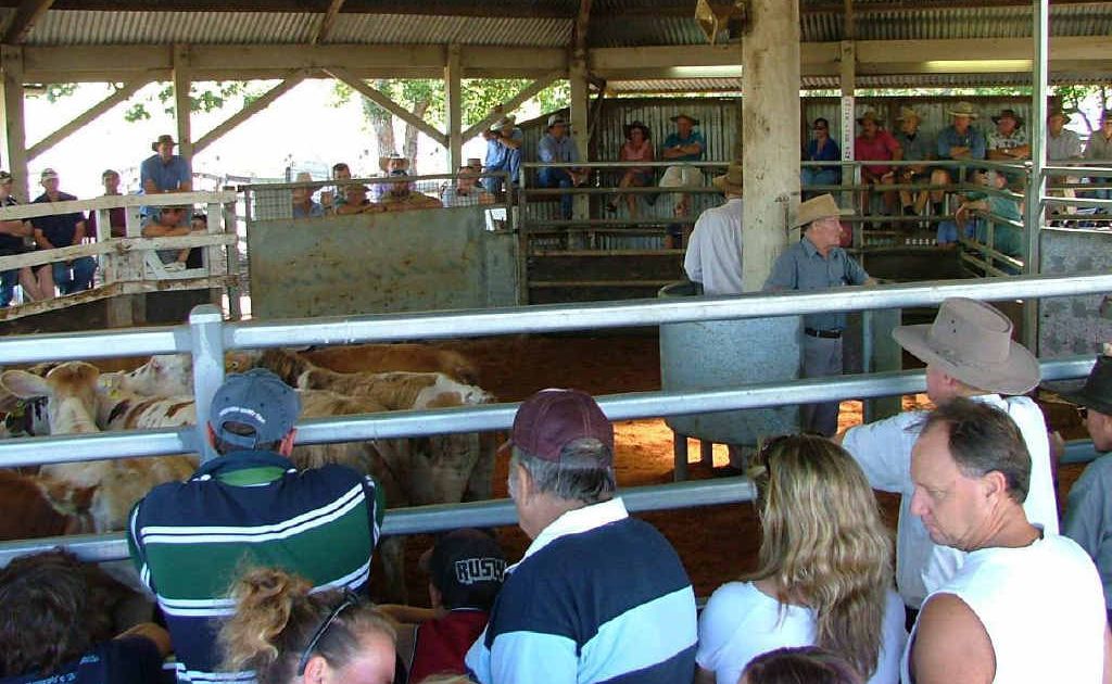 Lismore Saleyards Lismore Saleyards