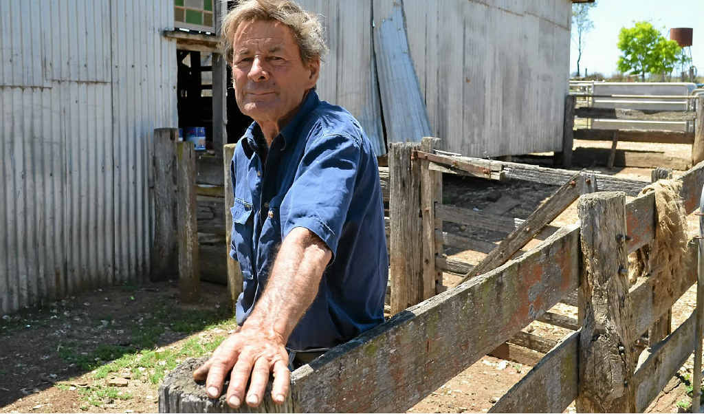 TEN POUND POM TURNED PRIME LAMB PRODUCER: Pratten landholder James Mead. TEN POUND POM TURNED PRIME LAMB PRODUCER: Pratten landholder James Mead.