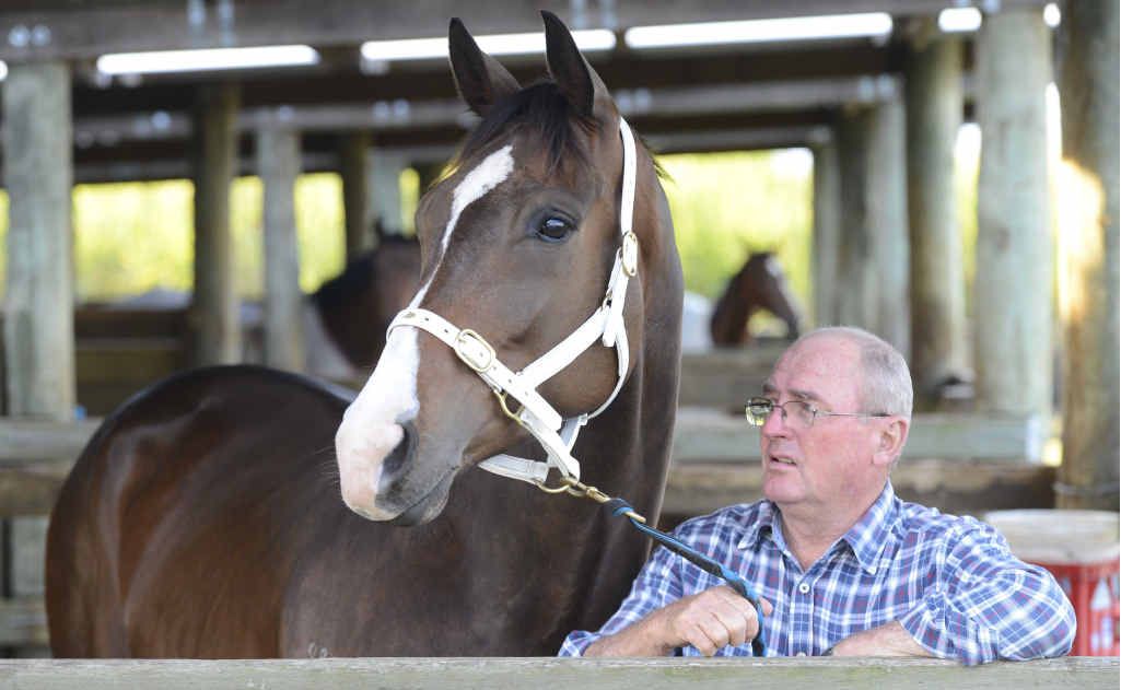 Terry Commerford with his horse Electric Circus. Photo Adam Hourigan / The Daily Examiner Terry Commerford with his horse Electric Circus. Photo Adam Hourigan / The Daily Examiner