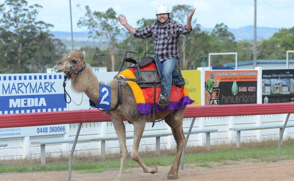 Poor Boofhead Craig Warhurst chose the slow camel on Melbourne Cup Day. Poor Boofhead Craig Warhurst chose the slow camel on Melbourne Cup Day.