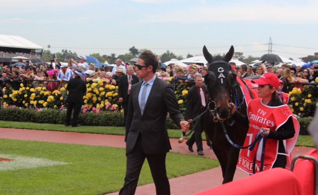 Fleur Blanch leads Fiorente in the Flemington parade yard before its 2nd place finish in the Melbourne Cup. Photo: Contributed. NO RESALE Fleur Blanch leads Fiorente in the Flemington parade yard before its 2nd place finish in the Melbourne Cup. Photo: Contributed. NO RESALE
