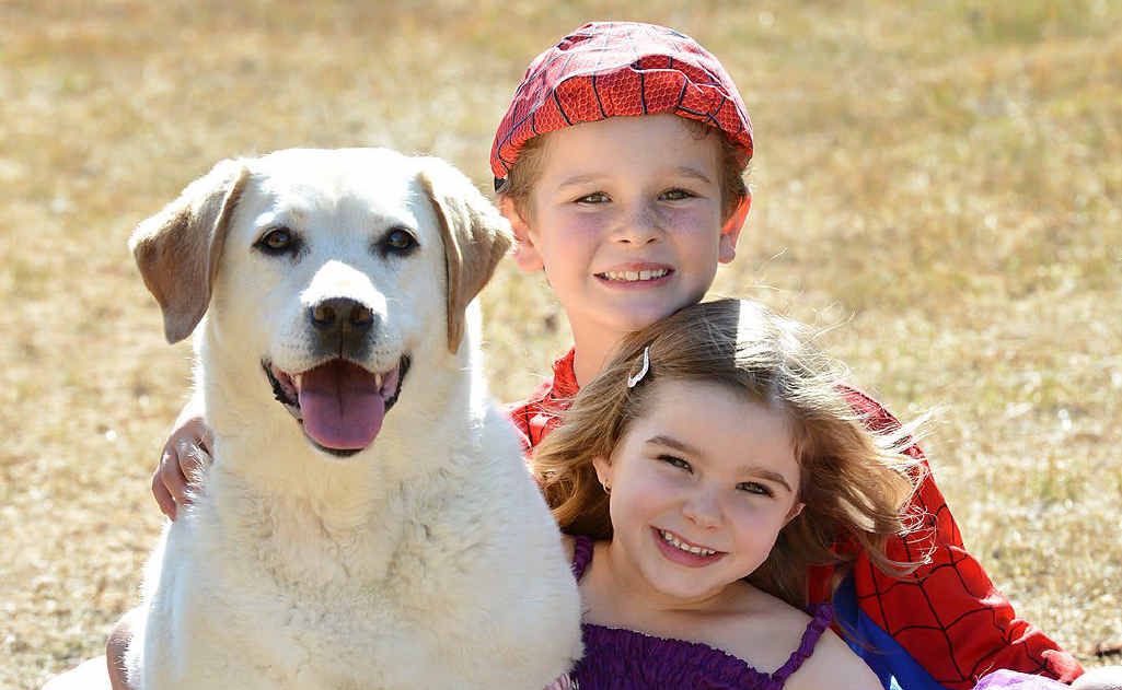 FAB LAB: Sophie and Chad Roper with their labrador dog Skye. FAB LAB: Sophie and Chad Roper with their labrador dog Skye.
