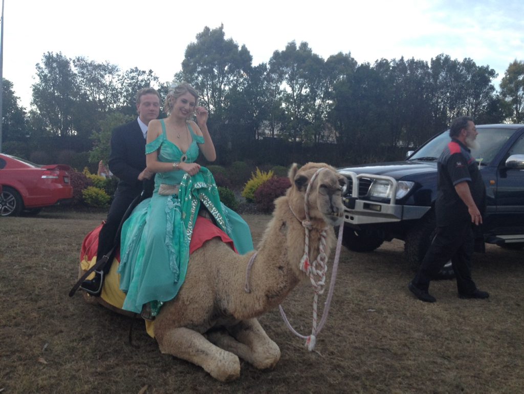 Eddie Gilson and Avena Osborn arrive at the Maryborough State High School formal on the back of a camel. Eddie Gilson and Avena Osborn arrive at the Maryborough State High School formal on the back of a camel.