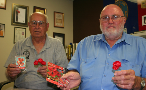 Remembrance Day will be commemorated this year with poppies. Remembrance Day will be commemorated this year with poppies.