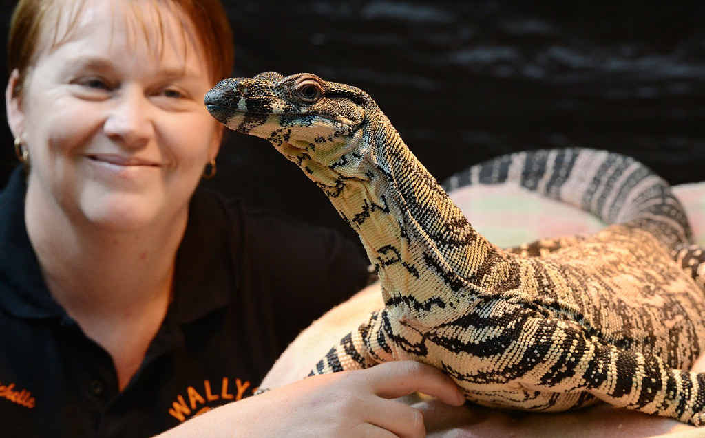 Michelle Leggat and Wally the lace monitor get to know each other. Michelle Leggat and Wally the lace monitor get to know each other.