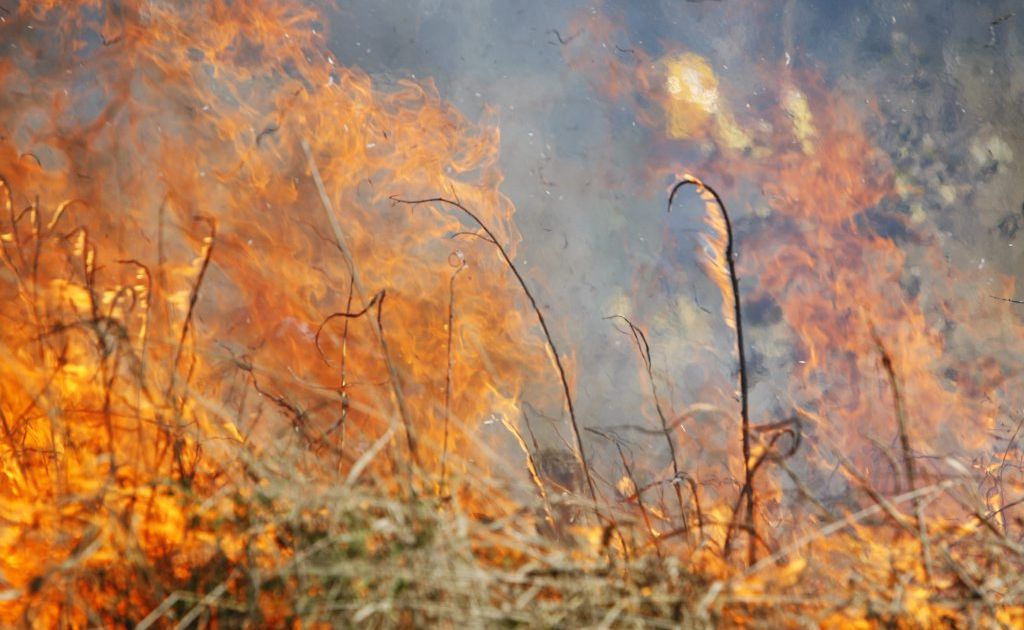 Authorities have increased the fire danger for the Tweed. Authorities have increased the fire danger for the Tweed.