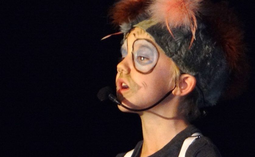 A student performs in Murwillumbah East Primary School's A Blunder Downunder musical. Photo: contributed A student performs in Murwillumbah East Primary School's A Blunder Downunder musical. Photo: contributed