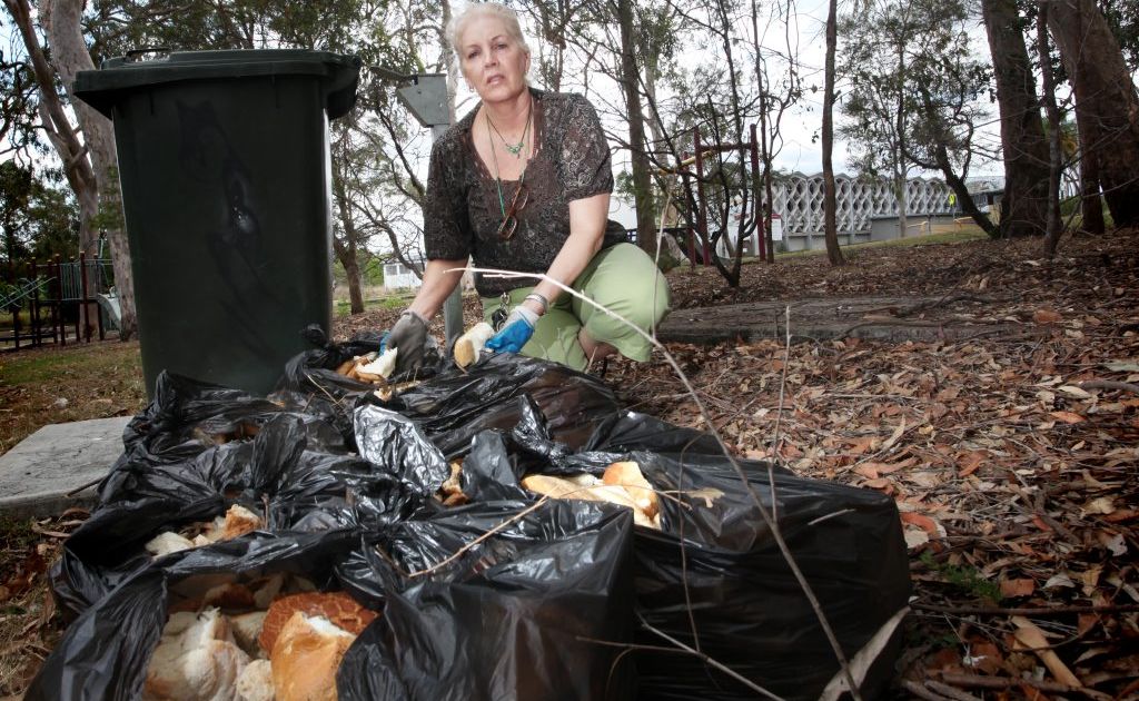 Lyn Thomson is upset that someone leaves bags full of bread scattered in Kev Hooper Park, Inala for birds to feed on every day. Photo: Inga Williams / The Satellite Lyn Thomson is upset that someone leaves bags full of bread scattered in Kev Hooper Park, Inala for birds to feed on every day. Photo: Inga Williams / The Satellite