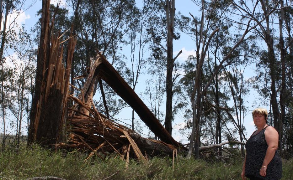 TRAIL OF DESTRUCTION: Wondai resident Vicky Parry surveyed the damage to her property after Saturday's storm. TRAIL OF DESTRUCTION: Wondai resident Vicky Parry surveyed the damage to her property after Saturday's storm.