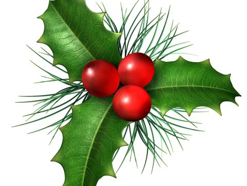 Relationships Australia has some good advice for those hosting Christmas Day events. Relationships Australia has some good advice for those hosting Christmas Day events.