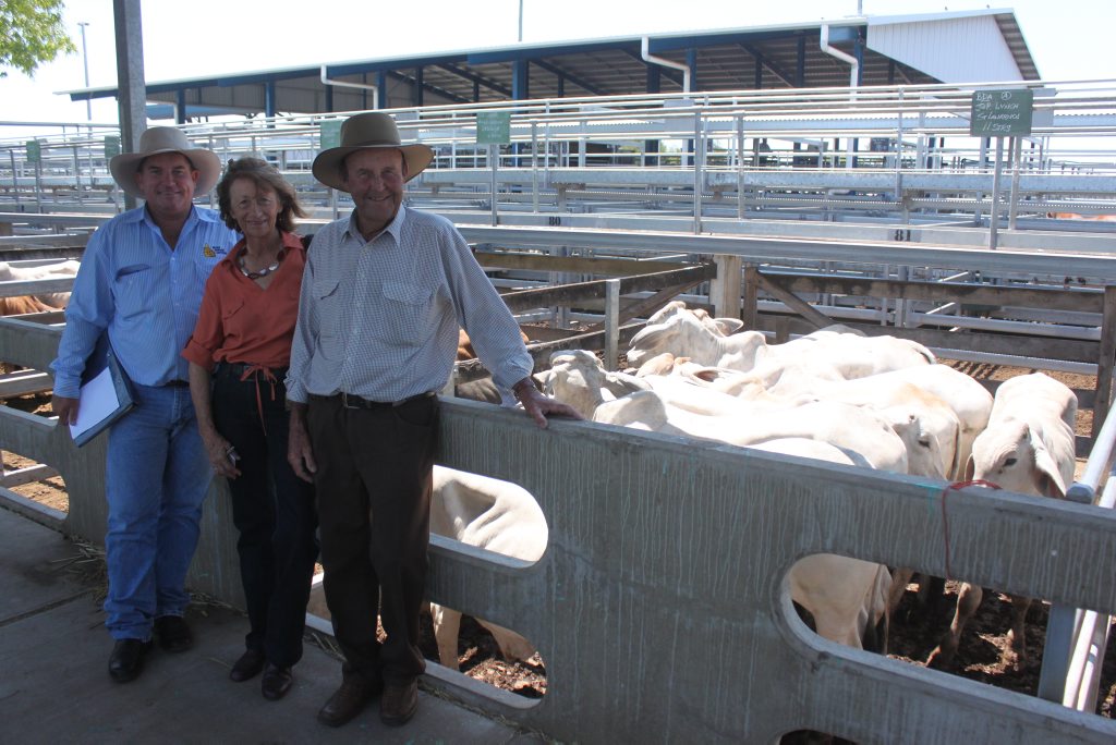 Auctioneer Brian Dawson with Pauline and Jack Lynch from St Lawrence who sold two decks of no.1 Brahman steers and heifers at last week's (November 2) sales at CQLX Gracemere. Auctioneer Brian Dawson with Pauline and Jack Lynch from St Lawrence who sold two decks of no.1 Brahman steers and heifers at last week's (November 2) sales at CQLX Gracemere.