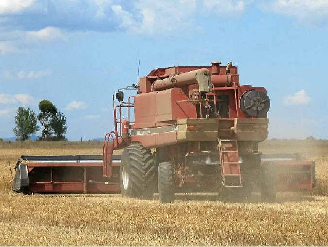 HARVEST: Clifton growers are keeping their fingers crossed for fine weather as the winter crop comes off paddocks across the Southern Downs. HARVEST: Clifton growers are keeping their fingers crossed for fine weather as the winter crop comes off paddocks across the Southern Downs.