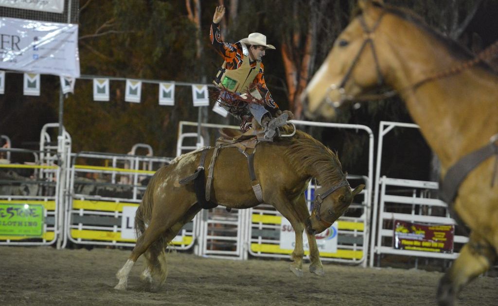 Taran Chirgwin in action at The Observer/McCosker's Calliope Rodeo earlier this month.
Taran Chirgwin in action at The Observer/McCosker's Calliope Rodeo earlier this month.