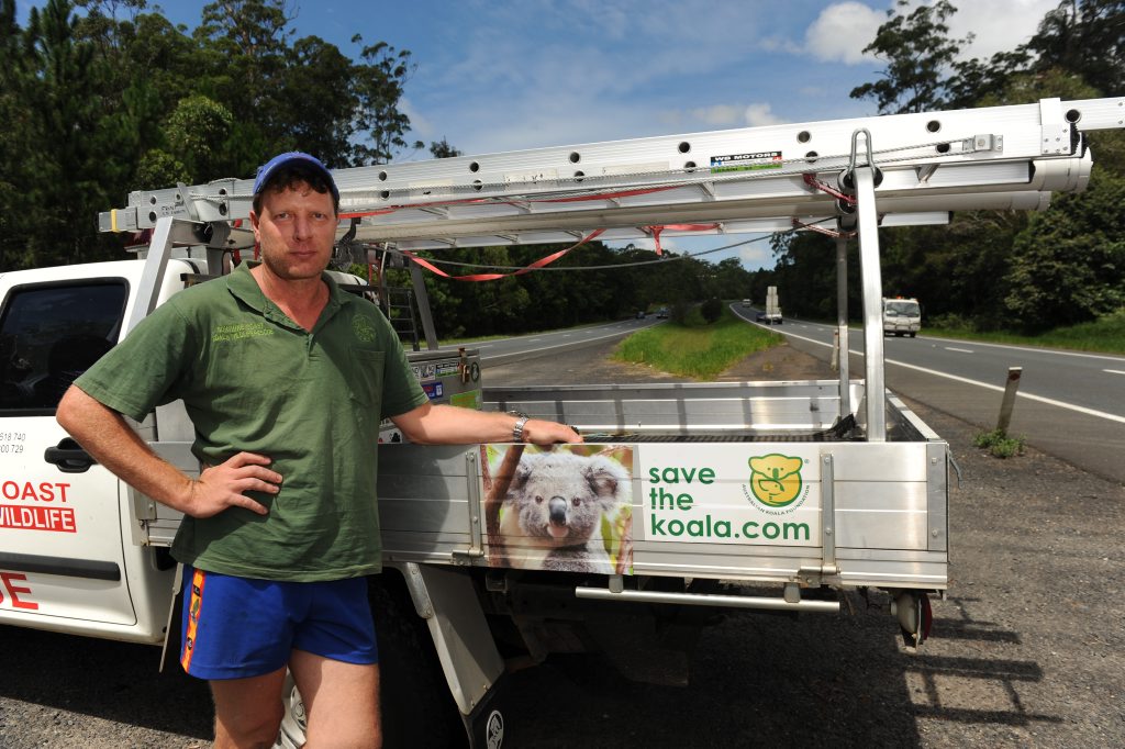 Sunshine Coast Koala Wildlife Rescue has struggled for five years and needs urgent financial help. Sunshine Coast Koala Wildlife Rescue has struggled for five years and needs urgent financial help.
