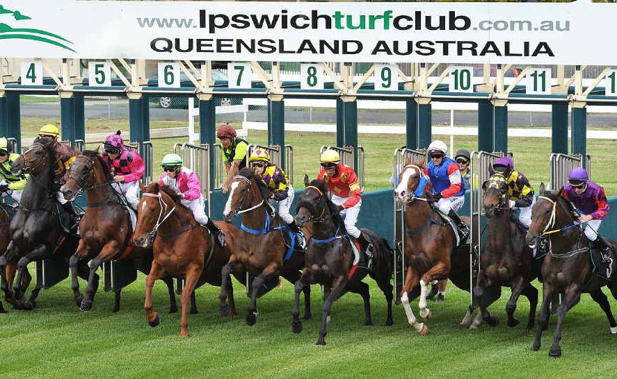 EVEN START: Eventual winner Non Dimenticar (number six in pink and black checks) looks for the best run after the start of last Friday’s River City Steel Fabrications Class 1 race over 2180m at Ipswich racetrack. EVEN START: Eventual winner Non Dimenticar (number six in pink and black checks) looks for the best run after the start of last Friday’s River City Steel Fabrications Class 1 race over 2180m at Ipswich racetrack.