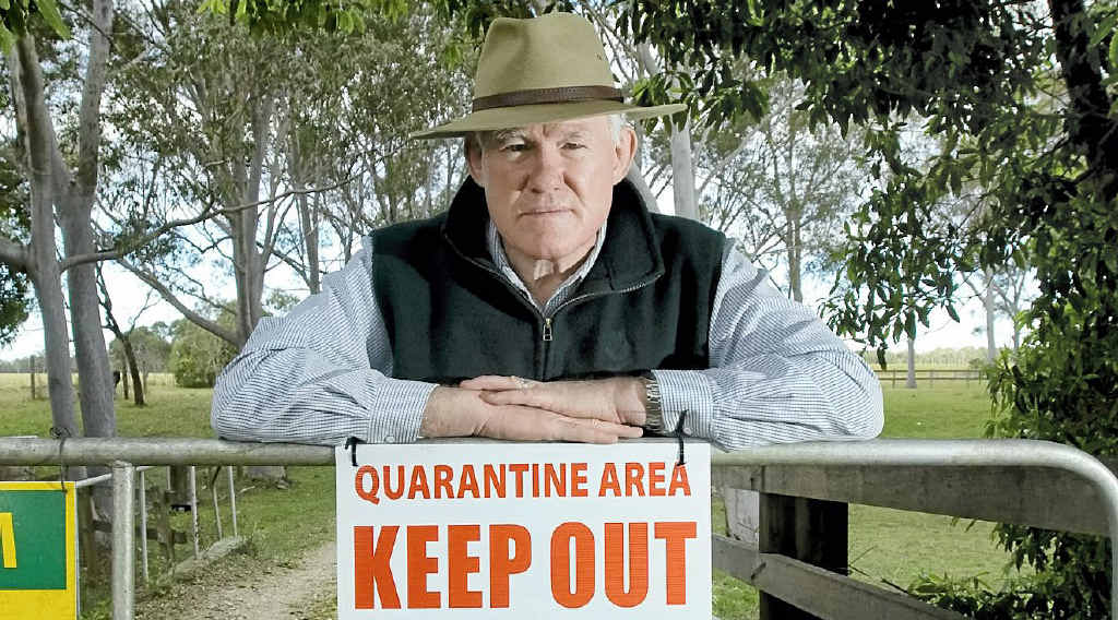 VIGILANT: Pimlico Farmer Frank Curran, who had two horses die of hendra virus. VIGILANT: Pimlico Farmer Frank Curran, who had two horses die of hendra virus.