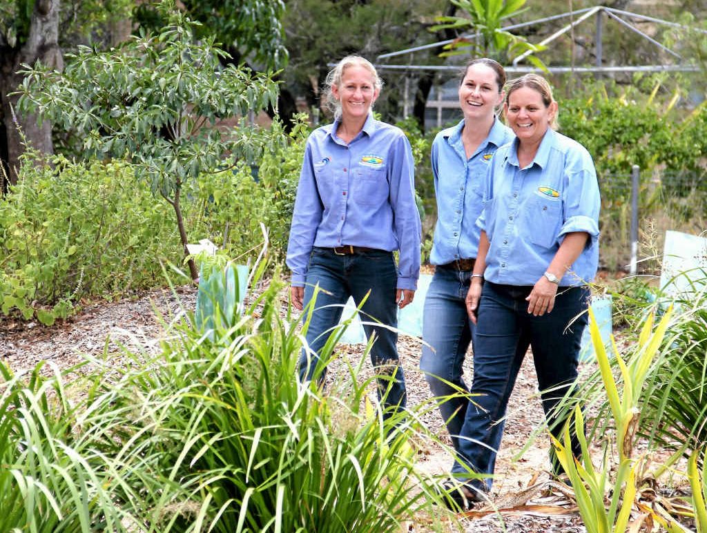NATURE’S WAY: Sarina Landcare Catchment Management Association regional Landcare facilitator and Reef Catchments’ catchment co-ordinator Saskia von Fahland, administration officer Nadine Hamill and project officer Margaret Meng work to protect to natural environment of the Sarina catchment. NATURE’S WAY: Sarina Landcare Catchment Management Association regional Landcare facilitator and Reef Catchments’ catchment co-ordinator Saskia von Fahland, administration officer Nadine Hamill and project officer Margaret Meng work to protect to natural environment of the Sarina catchment.