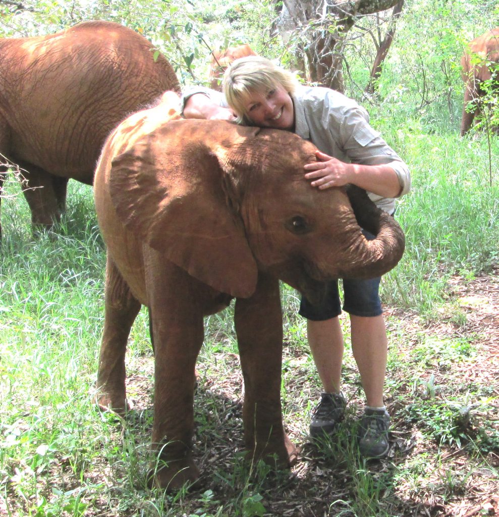 ELEPHANT CUDDLE: Girraween National Park ranger Jolene McLellan had the opportunity to get up close to baby elephant Kithaka while she was in Africa recently. Photo Contributed ELEPHANT CUDDLE: Girraween National Park ranger Jolene McLellan had the opportunity to get up close to baby elephant Kithaka while she was in Africa recently. Photo Contributed