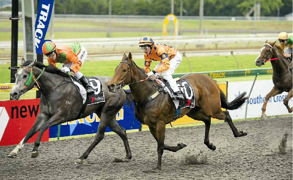 There are plans to put the turf back in operation at the Toowoomba Turf Club. There are plans to put the turf back in operation at the Toowoomba Turf Club.