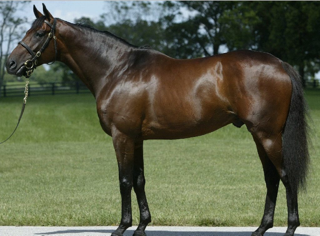 Changeintheweather blends champion bloodlines. Changeintheweather blends champion bloodlines.