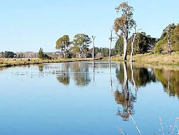 PICTURESQUE: One of the wetlands located at Wilton Park, near Grafton. PICTURESQUE: One of the wetlands located at Wilton Park, near Grafton.