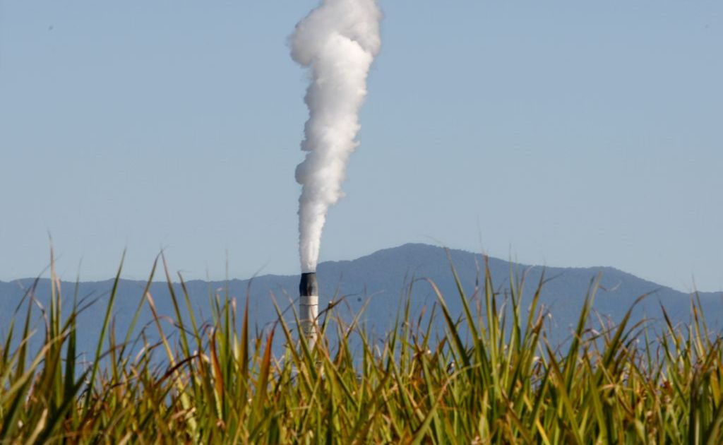 Tweed Shire impresses with its carbon footprint. Tweed Shire impresses with its carbon footprint.