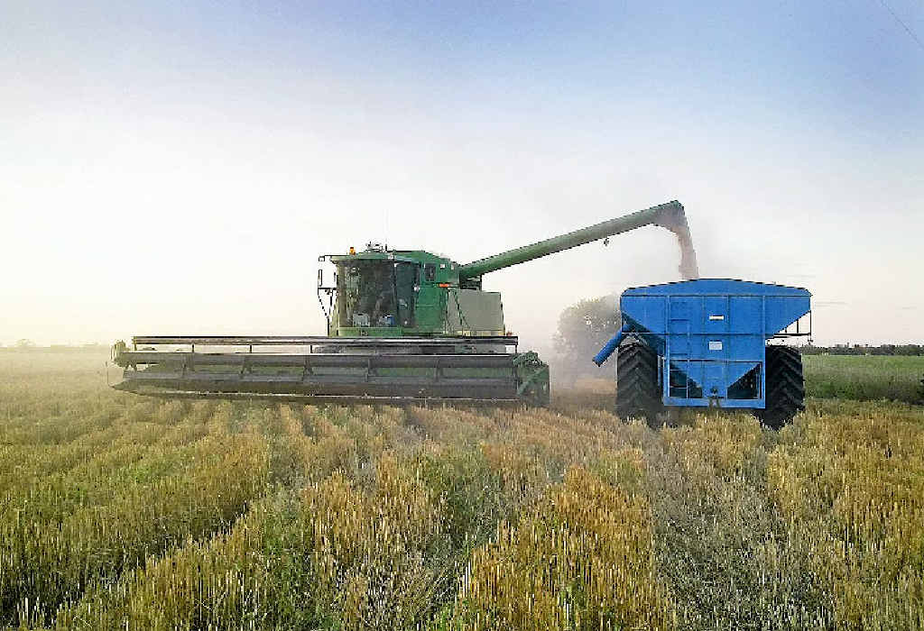 TOP CROP: The Australian winter crop production is forecast to be about 35.1 million tonnes in 2012–13. TOP CROP: The Australian winter crop production is forecast to be about 35.1 million tonnes in 2012–13.