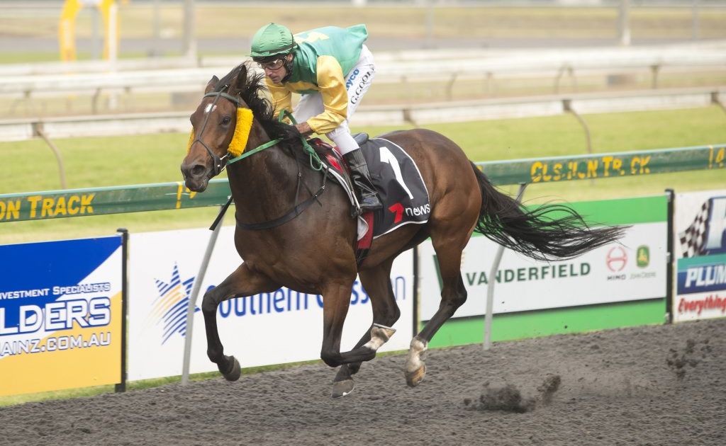 Town Dazzler (Geoff Goold) scores his second consecutive Clifford Park win for trainer Paul Nolan (Jnr) yesterday. Town Dazzler (Geoff Goold) scores his second consecutive Clifford Park win for trainer Paul Nolan (Jnr) yesterday.