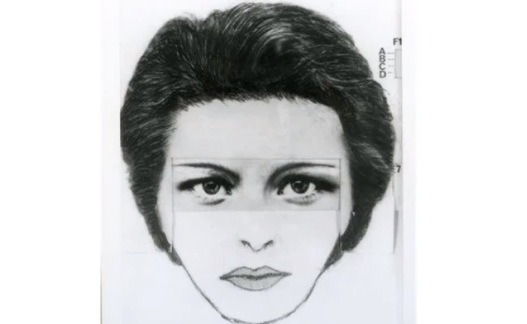 A comfit of the woman police say was linked to the attacks. A comfit of the woman police say was linked to the attacks.