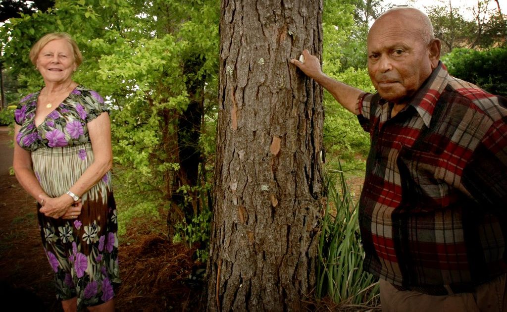 Carl Redman and Marion Gardner with one of the trees in question. Photo Blainey Woodham / Daily News Carl Redman and Marion Gardner with one of the trees in question. Photo Blainey Woodham / Daily News