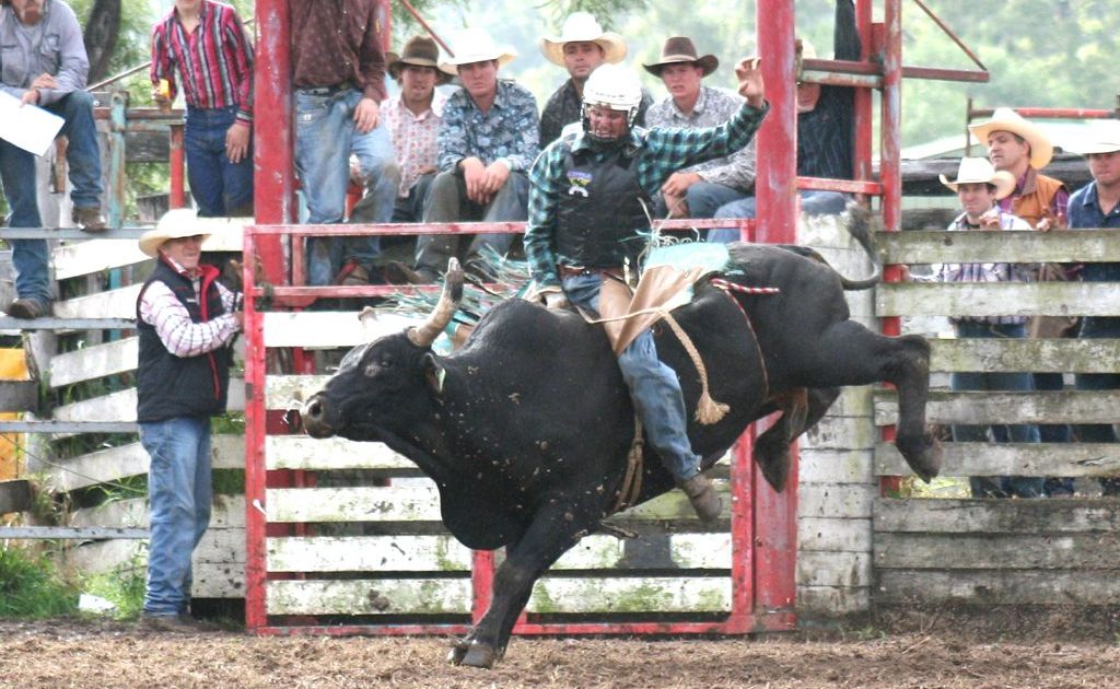 RECORD HOLDER: Fraser Babington of New Zealand holds an Australian Rodeo Record and hung on tight at a rodeo recently. RECORD HOLDER: Fraser Babington of New Zealand holds an Australian Rodeo Record and hung on tight at a rodeo recently.