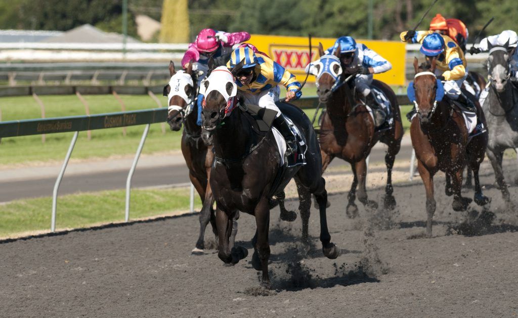 Miss Imagica races to victory in last year's Weetwood Handicap for jockey Nori Yamada. Miss Imagica races to victory in last year's Weetwood Handicap for jockey Nori Yamada.