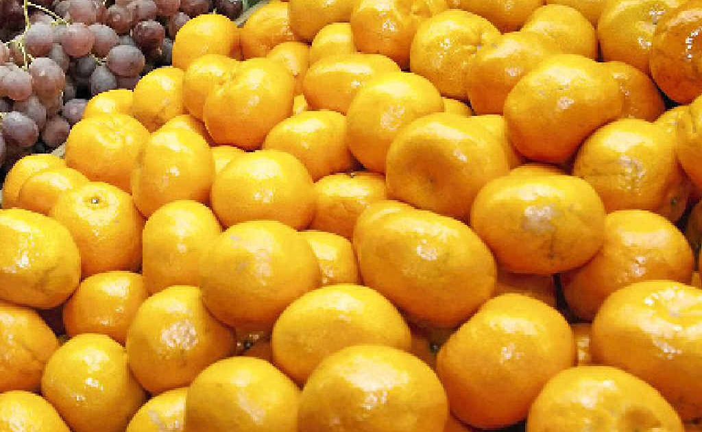 DAMAGE: When mandarins hit the stores this year, prices will be higher after trees in citrus growing areas were damaged by hail storms. DAMAGE: When mandarins hit the stores this year, prices will be higher after trees in citrus growing areas were damaged by hail storms.