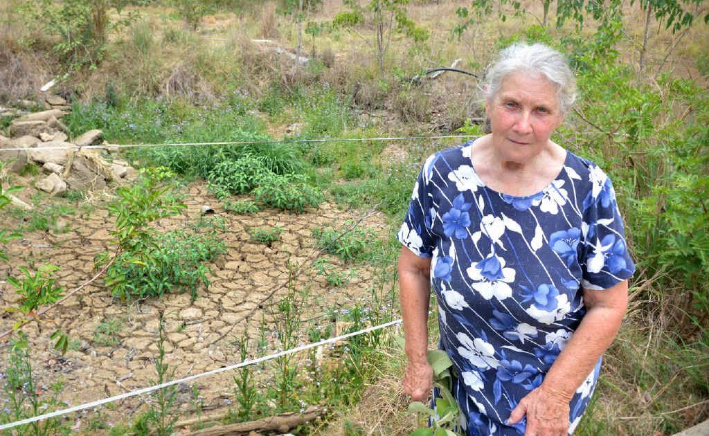 Judy Ballard believes soil toxins are responsible for the ill health of animals on her Glastonbury Rd property. Judy Ballard believes soil toxins are responsible for the ill health of animals on her Glastonbury Rd property.