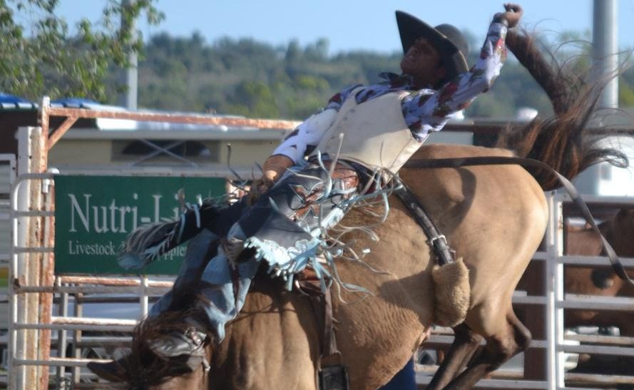 Mitchell Bareback joint winner Anthony Thomas hangs on for grim life. Mitchell Bareback joint winner Anthony Thomas hangs on for grim life.