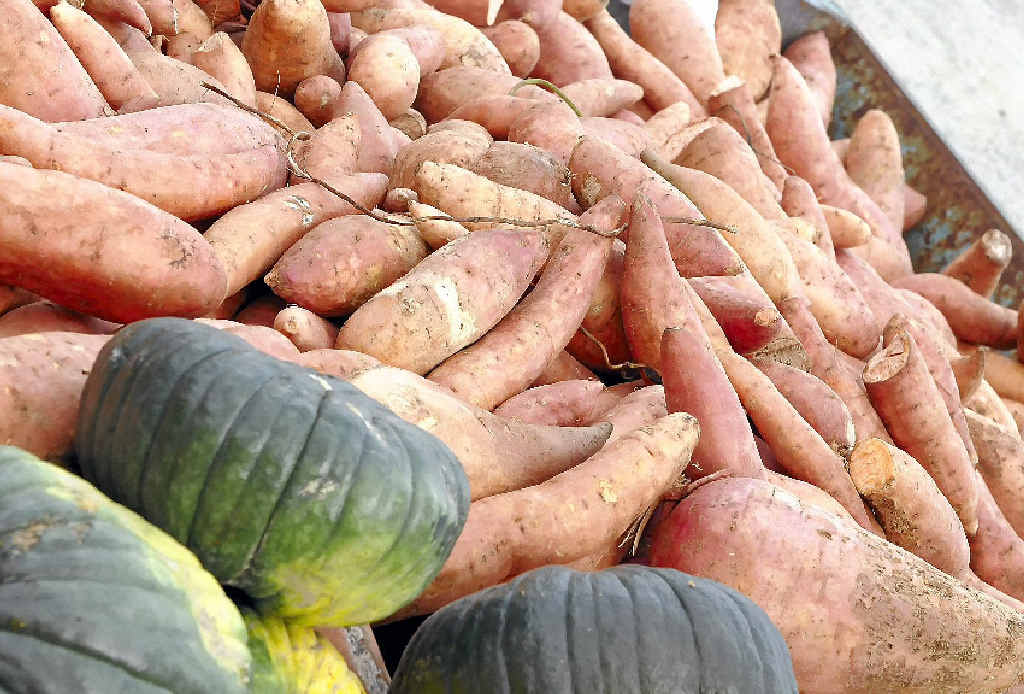 Cheap vegetable imports are hindering future business viability of local farms. Cheap vegetable imports are hindering future business viability of local farms.