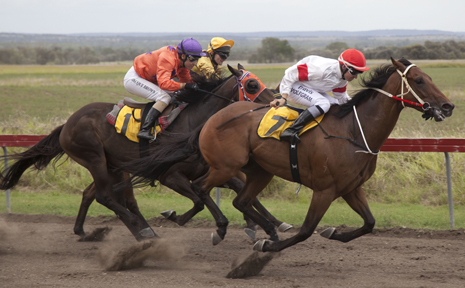 TIGHT RACES: Race 5 - The Taroom Welding Worx Des Johnson Memorial Handicap. 1. Swags, 2 Jack 'N' Me, 3. Lucasam. TIGHT RACES: Race 5 - The Taroom Welding Worx Des Johnson Memorial Handicap. 1. Swags, 2 Jack 'N' Me, 3. Lucasam.