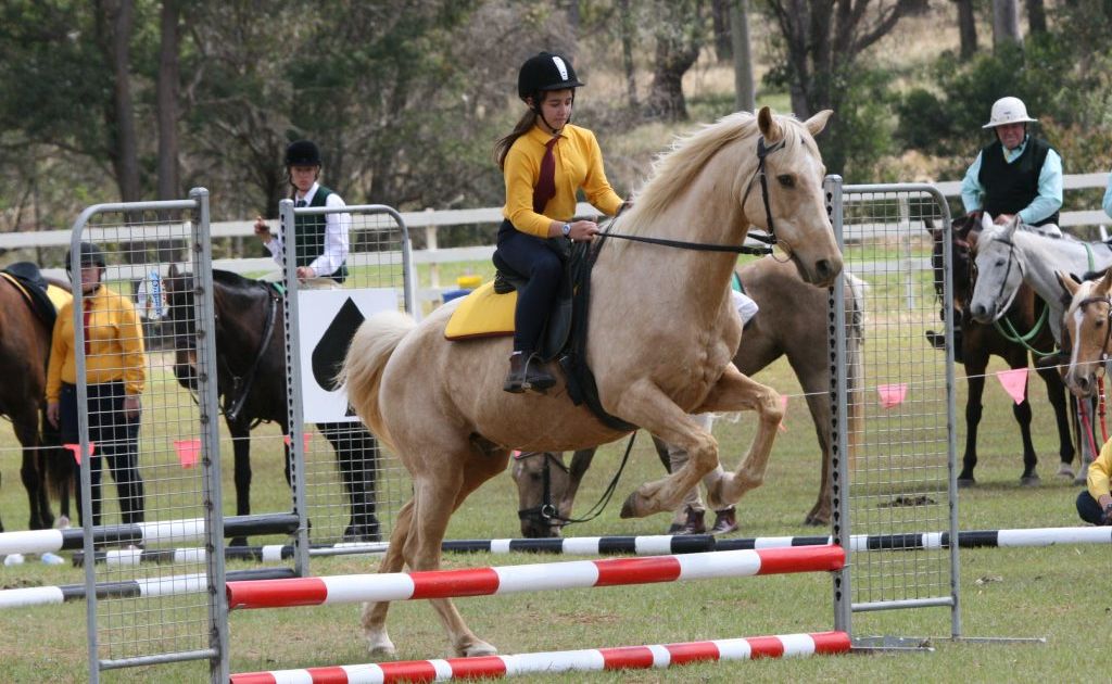 GREAT JUMP: Kumbia Pony Club's Naomi Baldacchino clears the jump. GREAT JUMP: Kumbia Pony Club's Naomi Baldacchino clears the jump.
