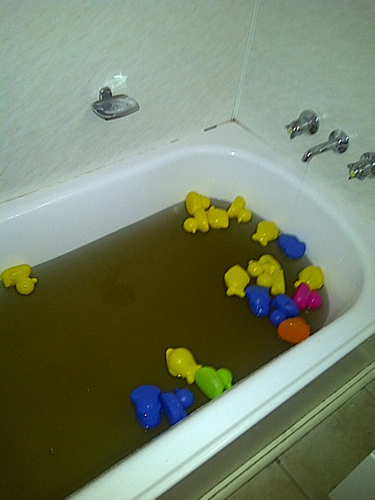 Dirty water in child's bath in a home at Dysart. Dirty water in child's bath in a home at Dysart.