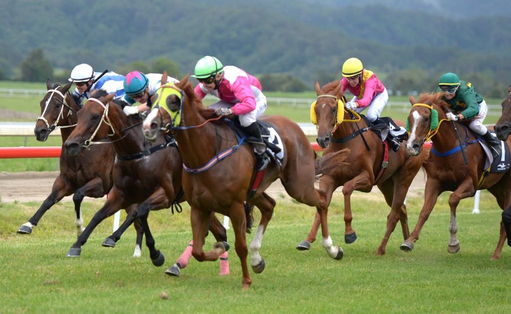 Race 5 winner was No.4 at the Murwillumbah Races. Race 5 winner was No.4 at the Murwillumbah Races.
