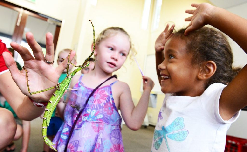 Katie Davis (left), 6, of Churchill and Alissa Brodie, 5, of Augustine Heights participate in a workshop for kids exploring the world of insects at the Environmental Education Centre in Queens Park. Katie Davis (left), 6, of Churchill and Alissa Brodie, 5, of Augustine Heights participate in a workshop for kids exploring the world of insects at the Environmental Education Centre in Queens Park.