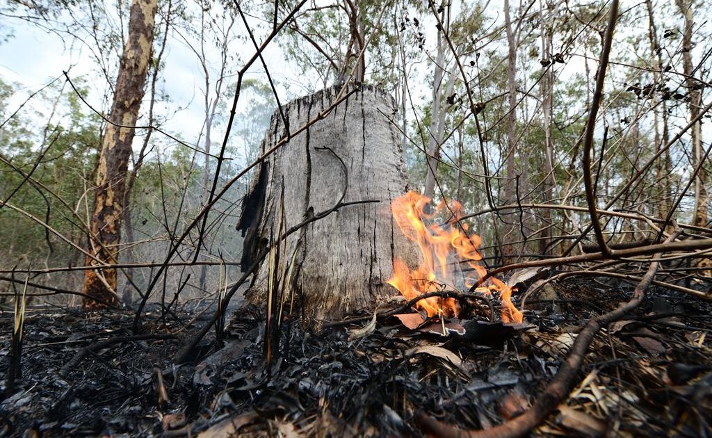 The Queensland Country Women’s Association has donated $20,000 towards the disaster appeal being conducted by the Northern Gulf Resource Management Group. The Queensland Country Women’s Association has donated $20,000 towards the disaster appeal being conducted by the Northern Gulf Resource Management Group.