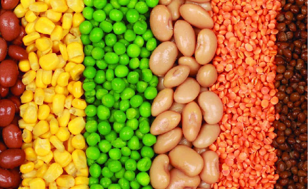 Legumes can help reduce symptoms. Legumes can help reduce symptoms.