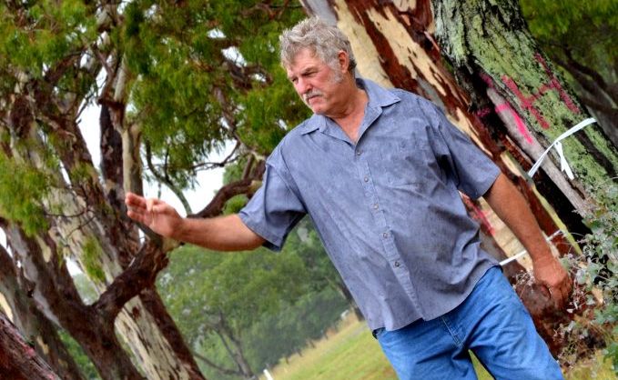 NOT HAPPY: Larry McArthur thinks it's an outrage that these trees are being investigated to be cleared. NOT HAPPY: Larry McArthur thinks it's an outrage that these trees are being investigated to be cleared.