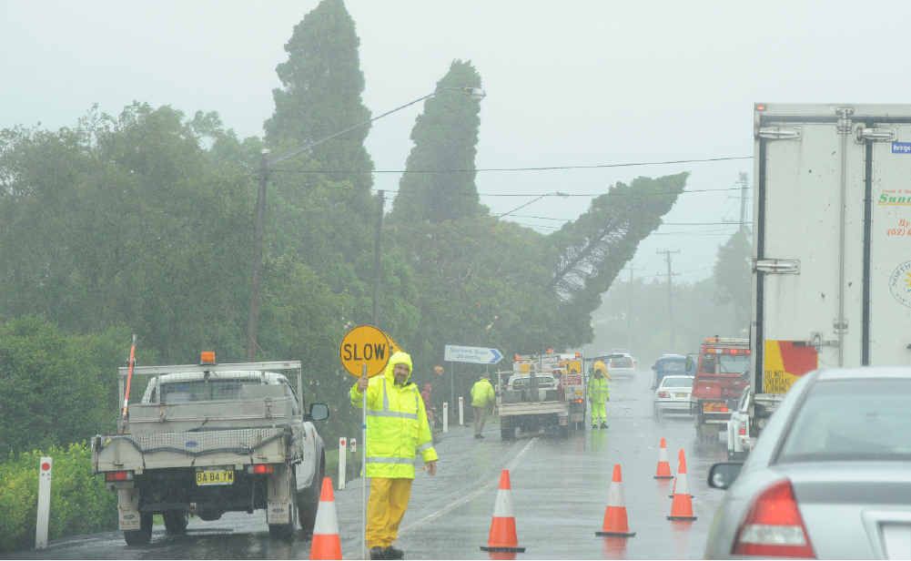 FELLED: Emergency workers deal with a falling tree along the Bruxner Hwy in Goonellabah yesterday. FELLED: Emergency workers deal with a falling tree along the Bruxner Hwy in Goonellabah yesterday.