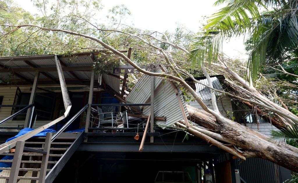Warren Higgins house with a tree through it. Warren Higgins house with a tree through it.